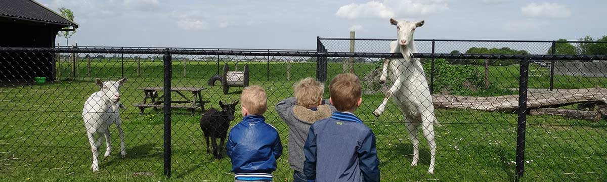 Peuterspeelzaal Boskoop peuterspeelzaal-boskoop