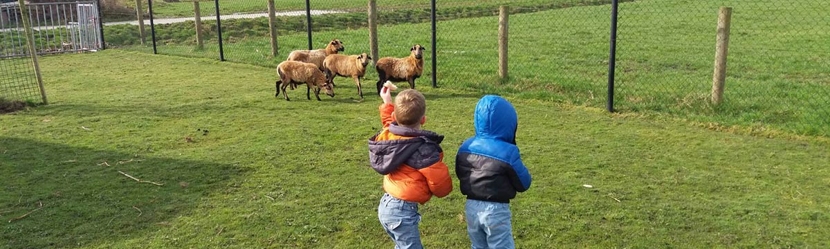 Peuterspeelzaal Reeuwijk peuterspeelzaal-reeuwijk