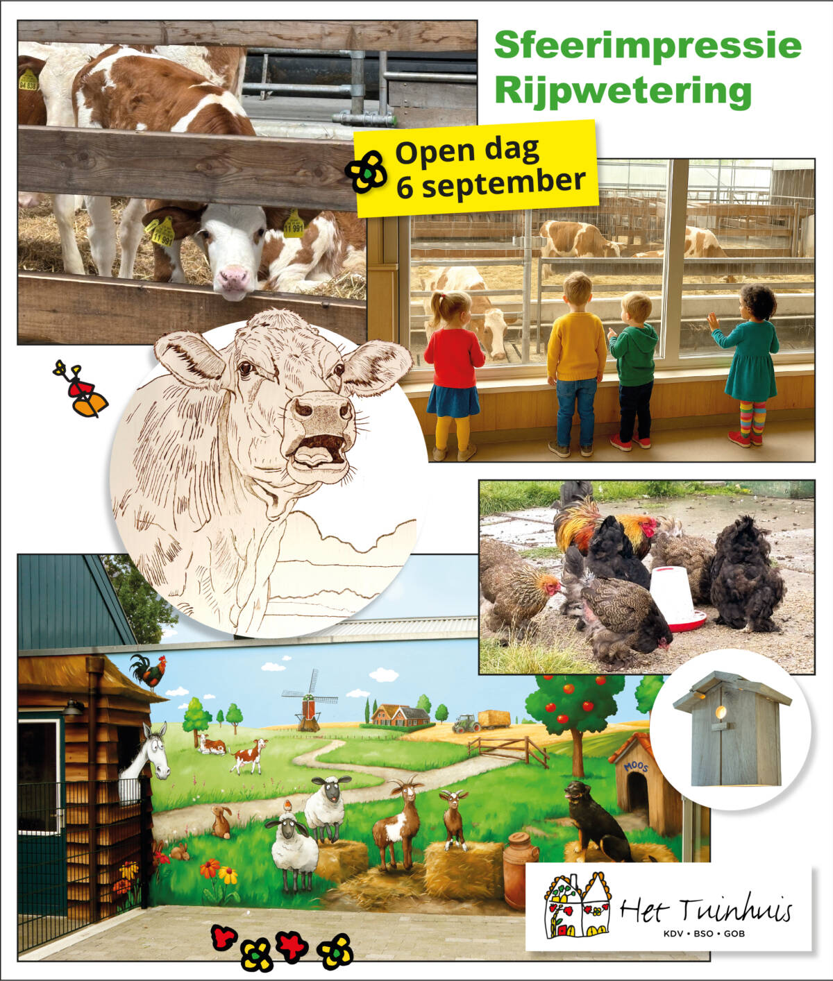 Collage Rijpwetering website
